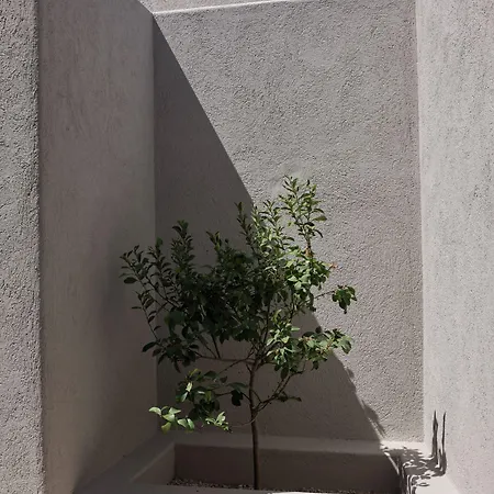 Aeon - Adults Only Nocleg ze śniadaniem